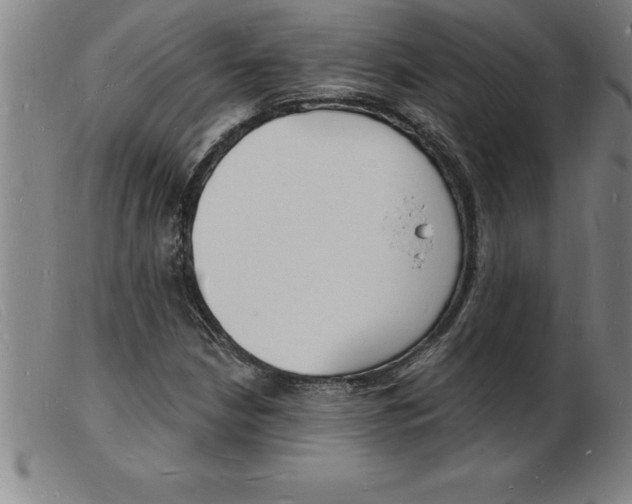 X0000103971210200809191350