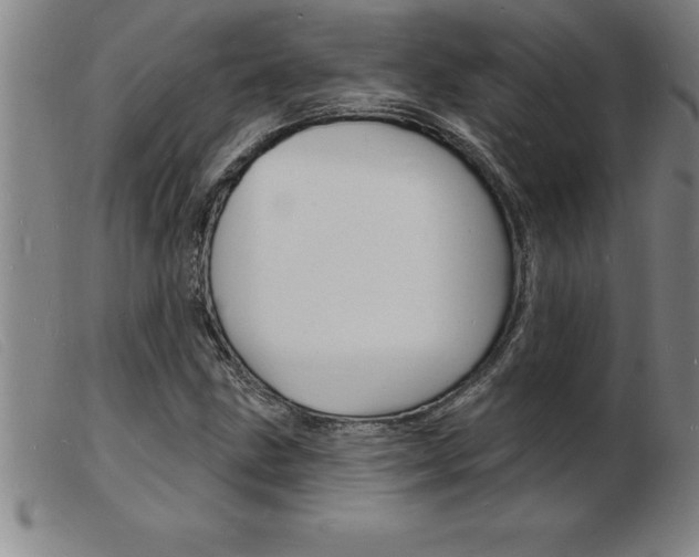 X0000103971211200809191350
