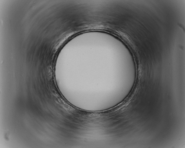 X0000103971212200809191350