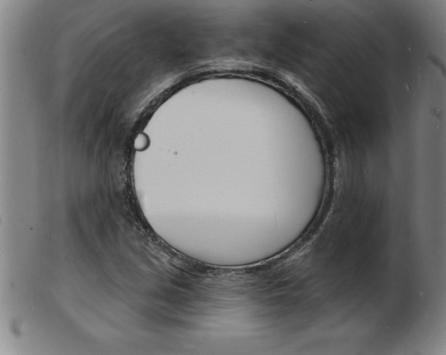 X0000103971213200809191350