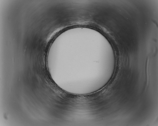 X0000103971214200809191350