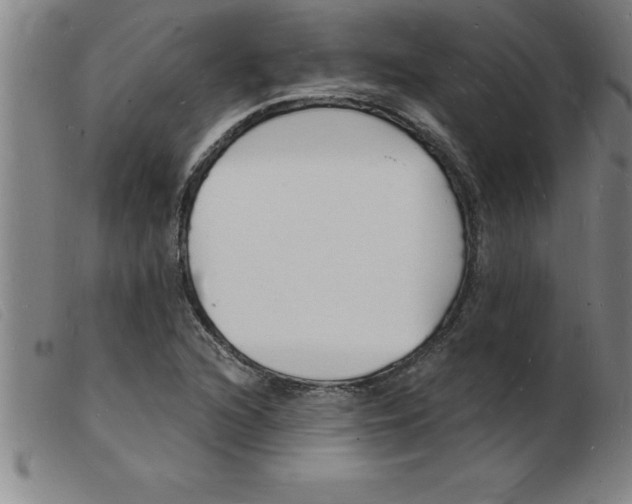 X0000103971216200809191350