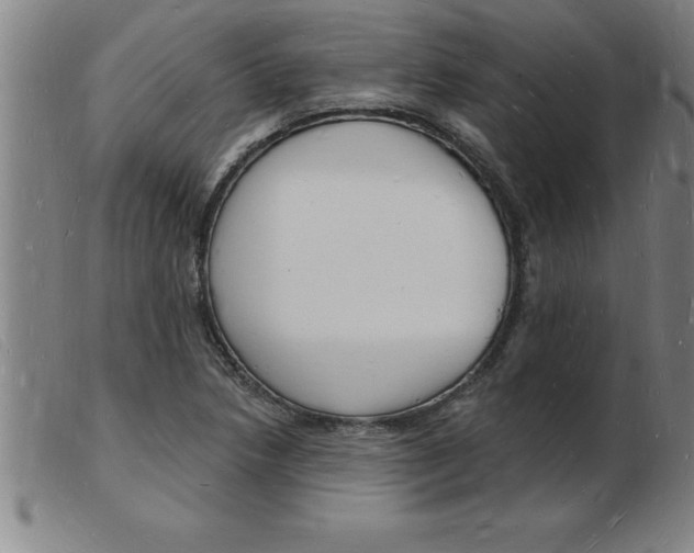 X0000103971218200809191350