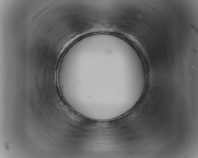 X0000103971220200809191350