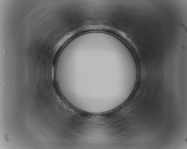 X0000103971221200809191351