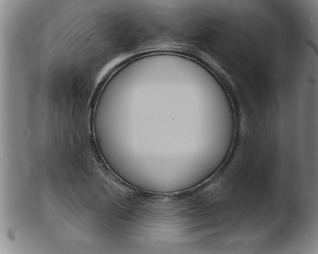 X0000103971222200809191351