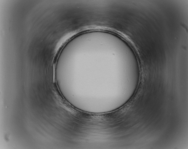 X0000103971223200809191351
