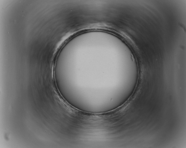 X0000103971224200809191351