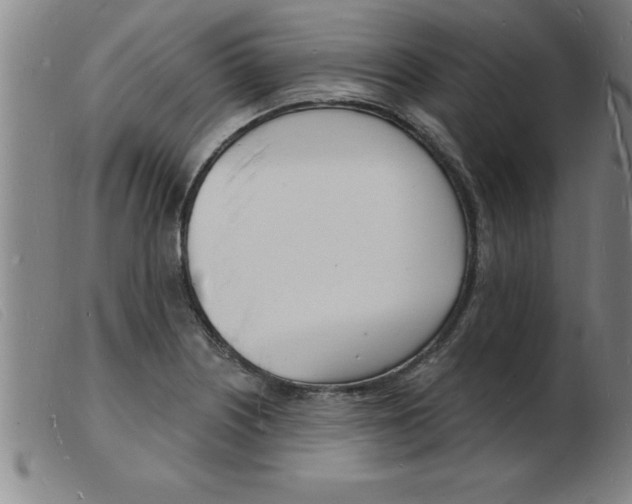 X0000103971226200809191351