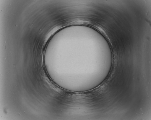 X0000103971227200809191351