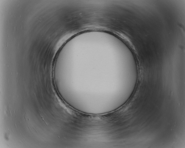 X0000103971231200809191351