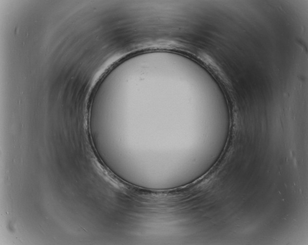 X0000103971232200809191351