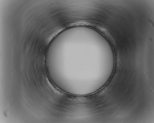 X0000103971233200809191351