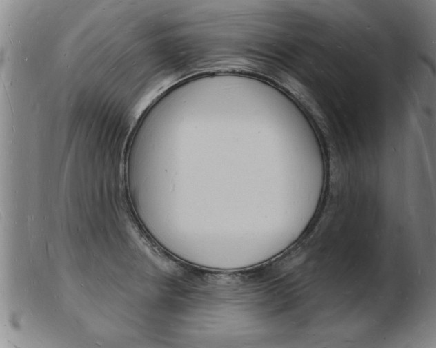 X0000103971234200809191351