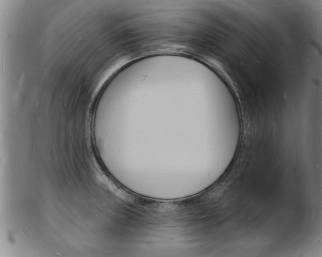 X0000103971235200809191351