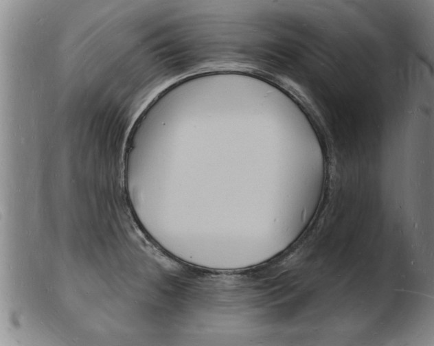 X0000103971236200809191351