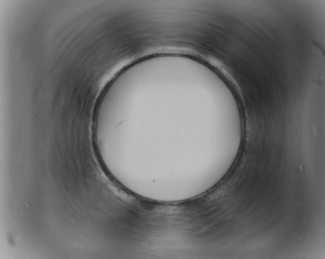 X0000103971237200809191351