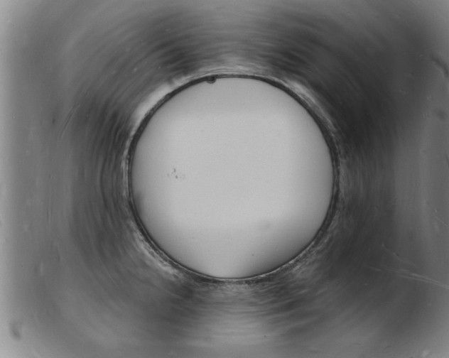 X0000103971238200809191351