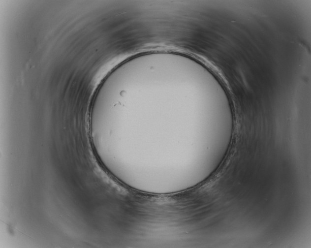 X0000103971239200809191351
