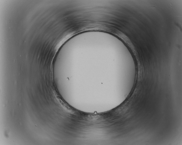 X0000103971242200809191351