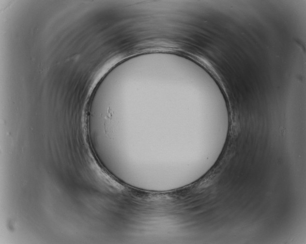 X0000103971243200809191351
