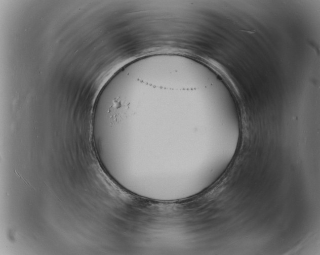 X0000103971244200809191351