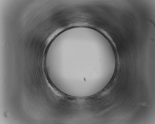 X0000103971245200809191351