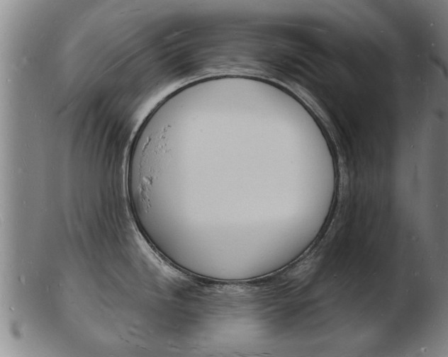 X0000103971246200809191351