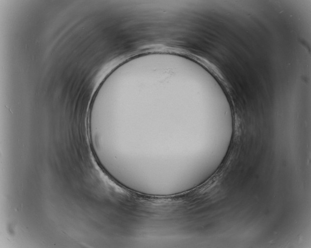 X0000103971247200809191351