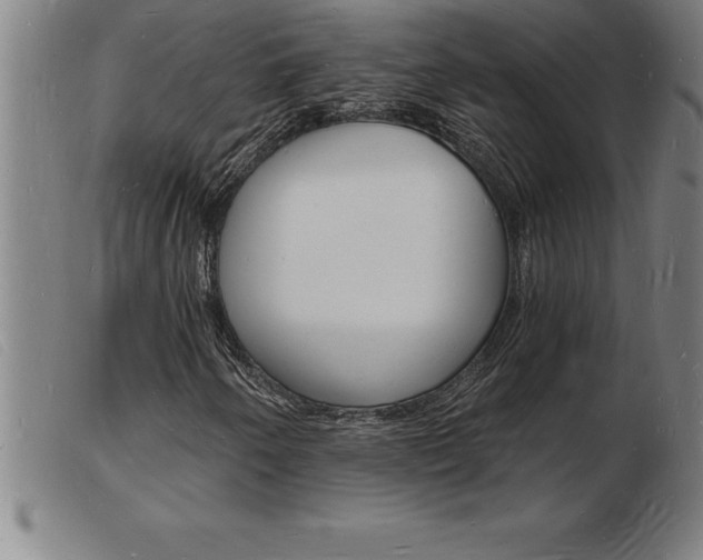 X0000103971250200809191350