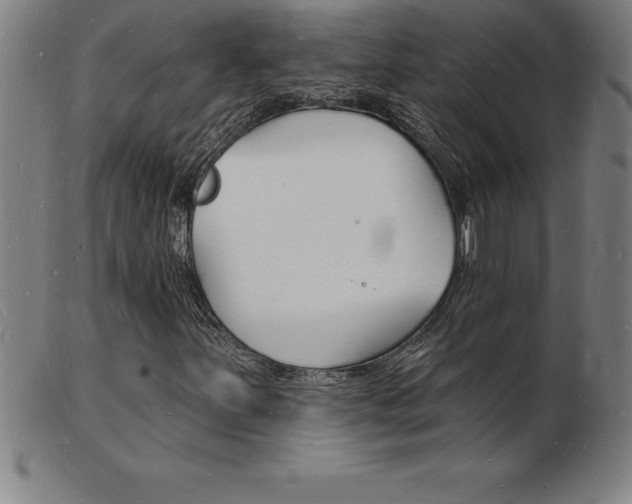 X0000103971251200809191350