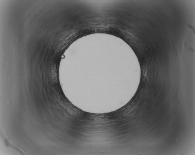 X0000103971252200809191350