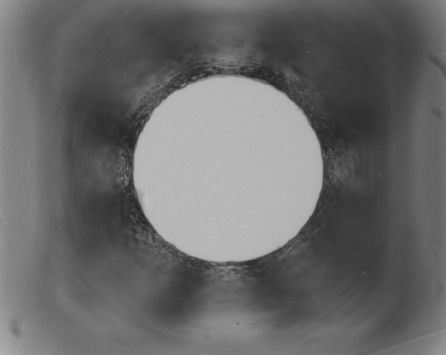 X0000103971253200809191350