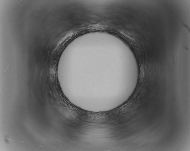 X0000103971254200809191350