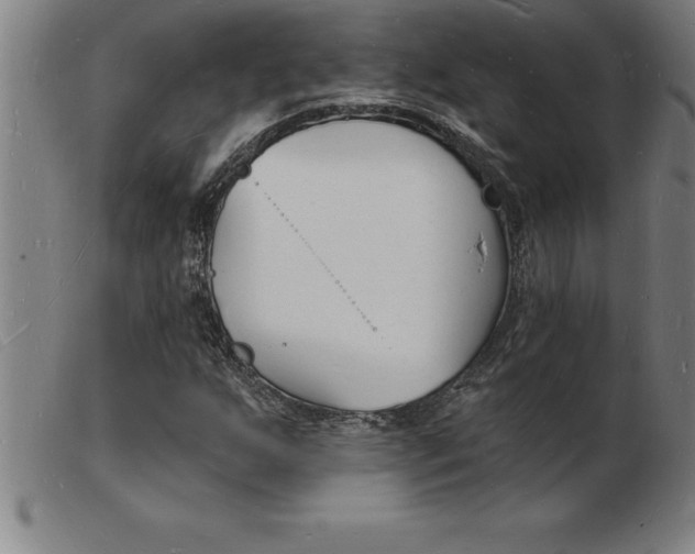 X0000103971255200809191350