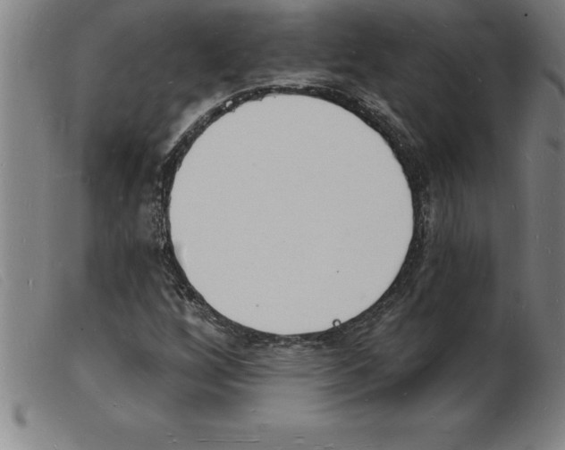 X0000103971256200809191350
