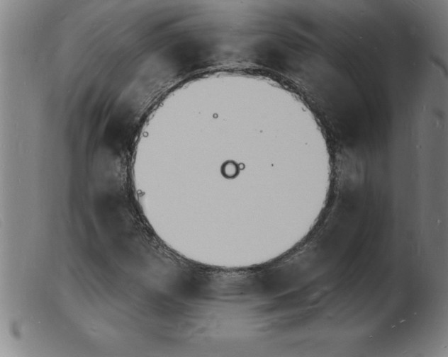 X0000103971257200809191350