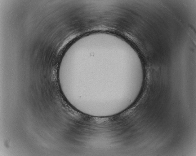 X0000103971258200809191350