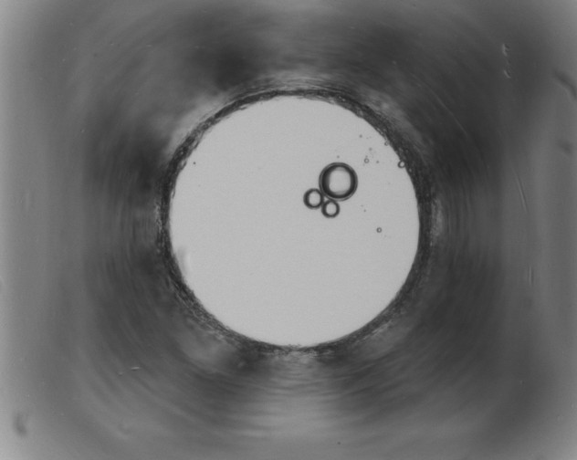 X0000103971261200809191350