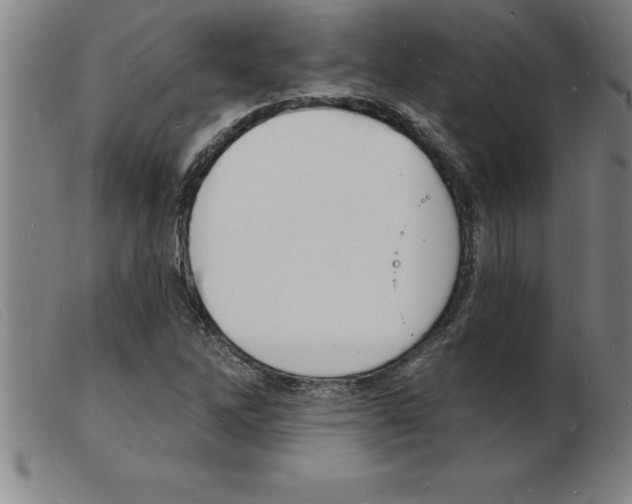 X0000103971262200809191350