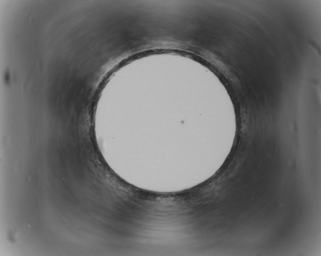 X0000103971264200809191350