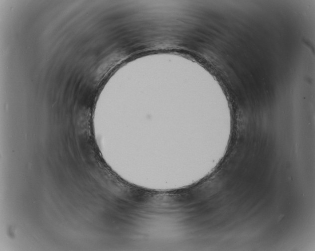 X0000103971265200809191350