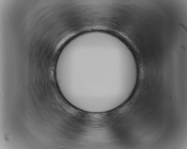 X0000103971266200809191350