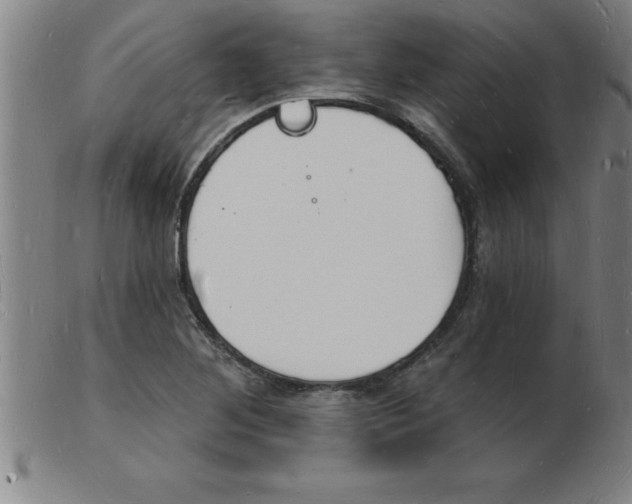 X0000103971268200809191350