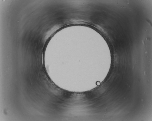 X0000103971269200809191350