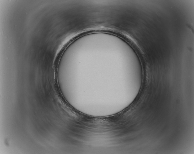 X0000103971270200809191350