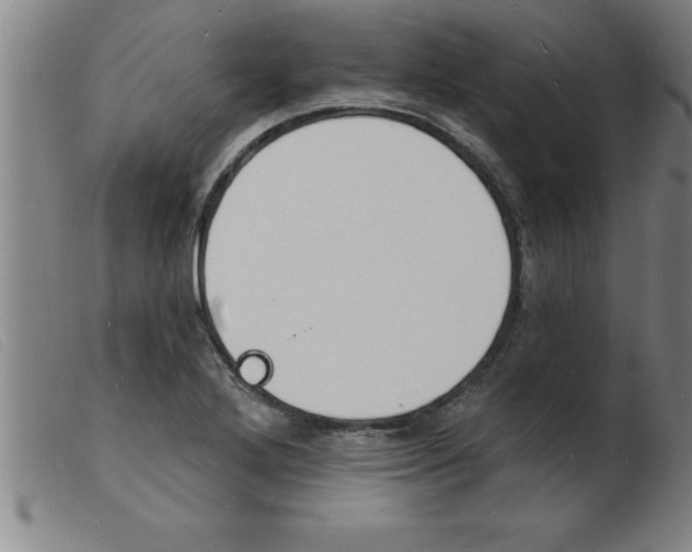 X0000103971272200809191350