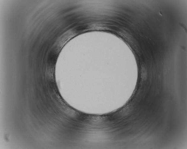 X0000103971273200809191350