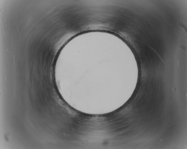 X0000103971277200809191350