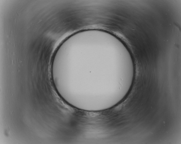 X0000103971278200809191350